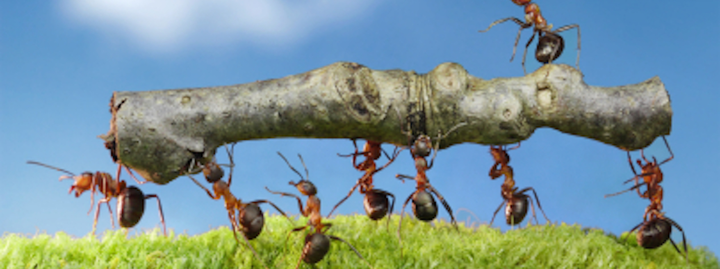 High performing lederteam, high performance